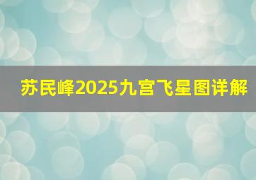 苏民峰2025九宫飞星图详解