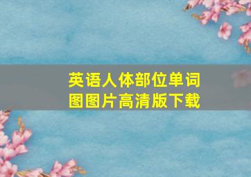 英语人体部位单词图图片高清版下载