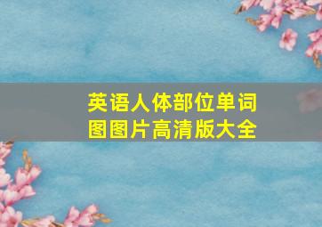 英语人体部位单词图图片高清版大全