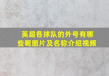 英超各球队的外号有哪些呢图片及名称介绍视频