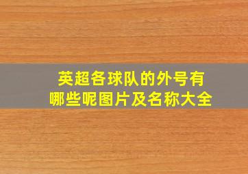 英超各球队的外号有哪些呢图片及名称大全