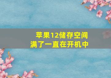 苹果12储存空间满了一直在开机中