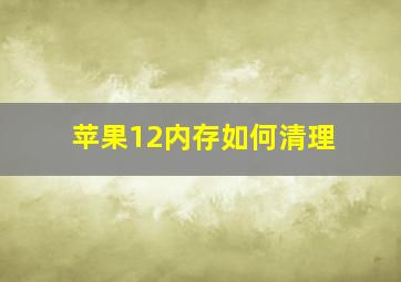 苹果12内存如何清理