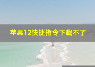 苹果12快捷指令下载不了