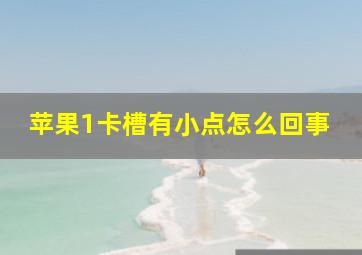 苹果1卡槽有小点怎么回事