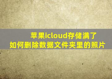 苹果icloud存储满了如何删除数据文件夹里的照片