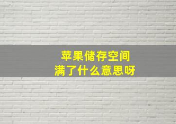 苹果储存空间满了什么意思呀