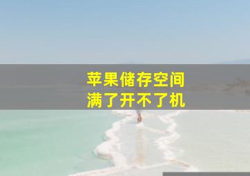 苹果储存空间满了开不了机