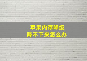 苹果内存降级降不下来怎么办