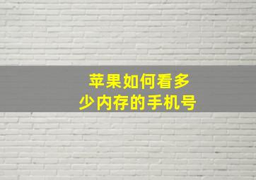 苹果如何看多少内存的手机号