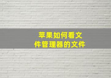 苹果如何看文件管理器的文件