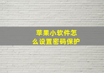 苹果小软件怎么设置密码保护