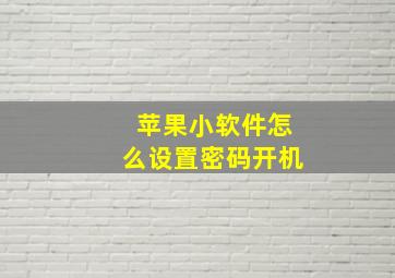 苹果小软件怎么设置密码开机