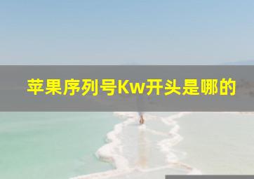 苹果序列号Kw开头是哪的