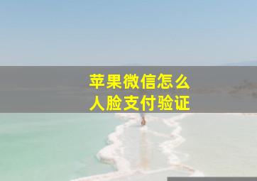 苹果微信怎么人脸支付验证