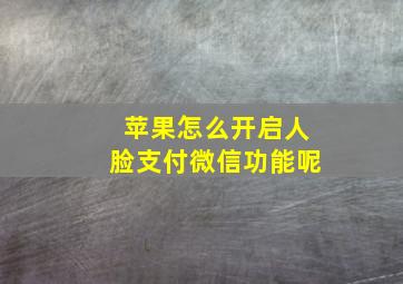 苹果怎么开启人脸支付微信功能呢