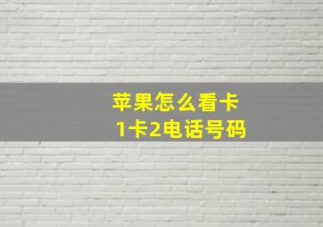 苹果怎么看卡1卡2电话号码