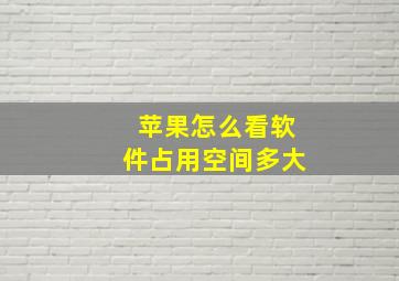 苹果怎么看软件占用空间多大