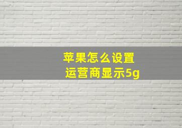 苹果怎么设置运营商显示5g