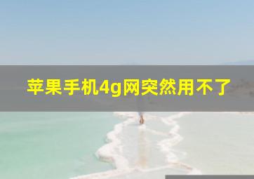 苹果手机4g网突然用不了