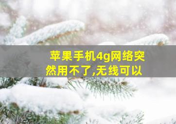 苹果手机4g网络突然用不了,无线可以