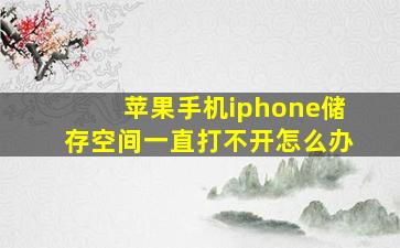 苹果手机iphone储存空间一直打不开怎么办