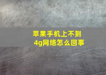 苹果手机上不到4g网络怎么回事