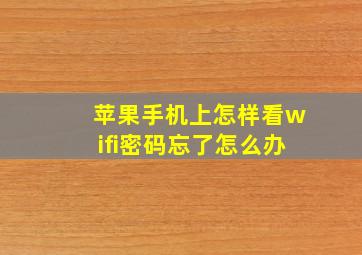 苹果手机上怎样看wifi密码忘了怎么办