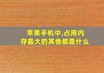 苹果手机中,占用内存最大的其他都是什么