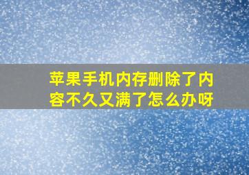 苹果手机内存删除了内容不久又满了怎么办呀