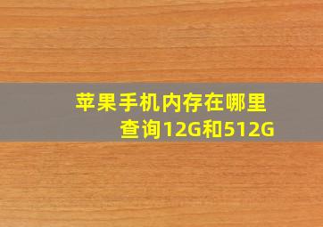 苹果手机内存在哪里查询12G和512G