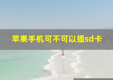 苹果手机可不可以插sd卡