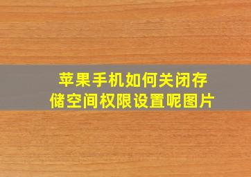 苹果手机如何关闭存储空间权限设置呢图片