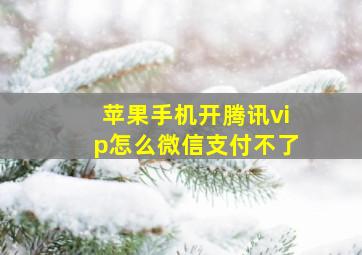 苹果手机开腾讯vip怎么微信支付不了