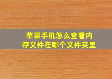 苹果手机怎么查看内存文件在哪个文件夹里