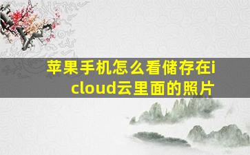 苹果手机怎么看储存在icloud云里面的照片