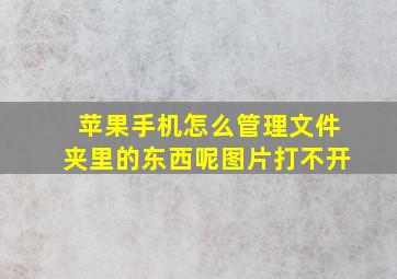 苹果手机怎么管理文件夹里的东西呢图片打不开