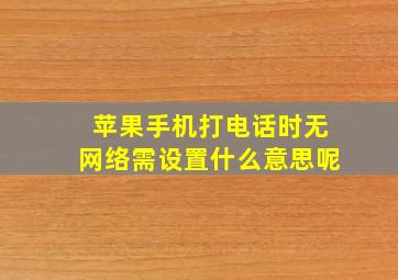 苹果手机打电话时无网络需设置什么意思呢