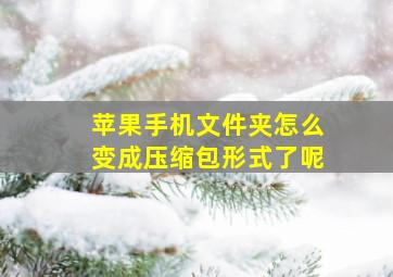 苹果手机文件夹怎么变成压缩包形式了呢