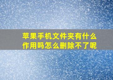 苹果手机文件夹有什么作用吗怎么删除不了呢