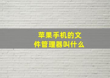 苹果手机的文件管理器叫什么