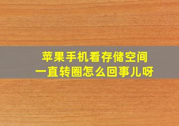 苹果手机看存储空间一直转圈怎么回事儿呀