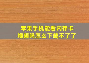 苹果手机能看内存卡视频吗怎么下载不了了