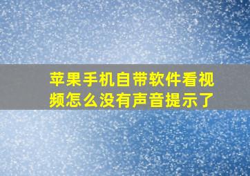 苹果手机自带软件看视频怎么没有声音提示了