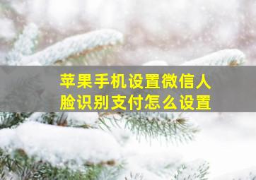 苹果手机设置微信人脸识别支付怎么设置