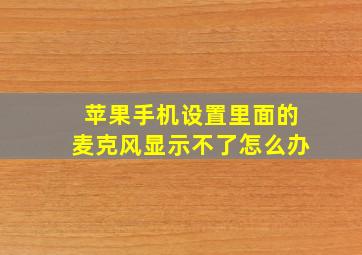 苹果手机设置里面的麦克风显示不了怎么办