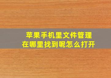 苹果手机里文件管理在哪里找到呢怎么打开