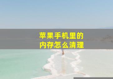 苹果手机里的内存怎么清理