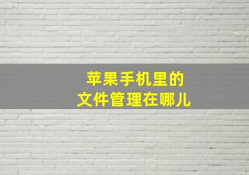 苹果手机里的文件管理在哪儿