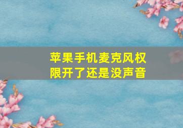 苹果手机麦克风权限开了还是没声音